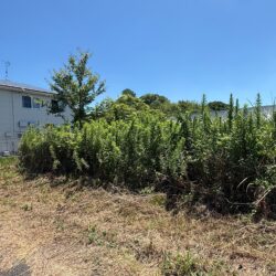 久留米市藤山町　売地　47坪 画像6