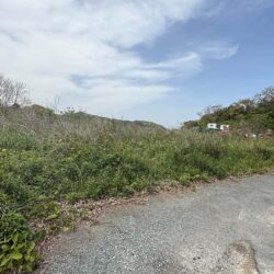 宗像市江口 47坪 売地