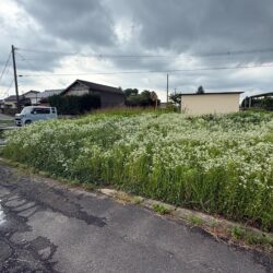 小郡市干潟　売地　44坪 画像5