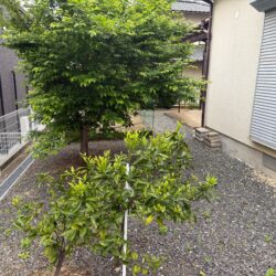 糟屋郡志免町三丁目　売地　69坪 画像7