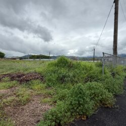 朝倉市三奈木　売地　170坪 画像7