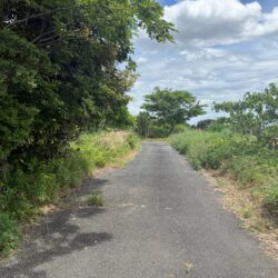 糸島市八島　売地　50坪 画像7