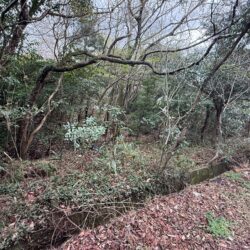 福岡市西区今宿上ノ原 売地 45坪