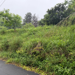 筑紫野市大字山家　売地　21坪 画像9