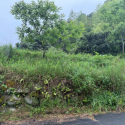 筑紫野市大字山家　売地　21坪 画像7