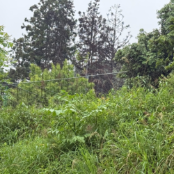 筑紫野市大字山家　売地　21坪 画像6