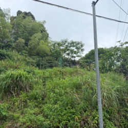 筑紫野市大字山家　売地　21坪 画像5