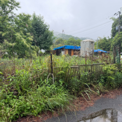 筑紫野市大字山家 売地 52坪