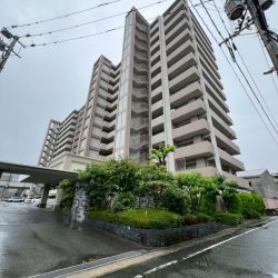 アンピール箱崎 8階部分 3LDK