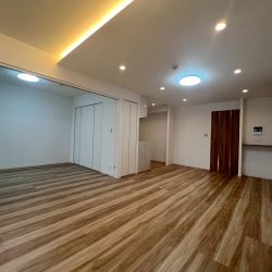 シティライフ博多駅南　12階　4LDK 画像3