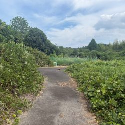 宗像市名残　売地　33坪 画像8
