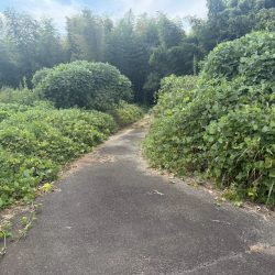 宗像市名残　売地　33坪 画像7