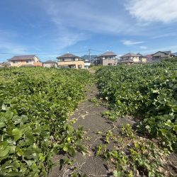 宗像市多禮　売地　約40坪 画像7