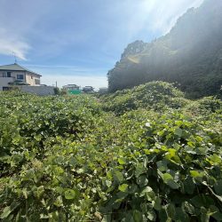 宗像市多禮　売地　約40坪 画像6