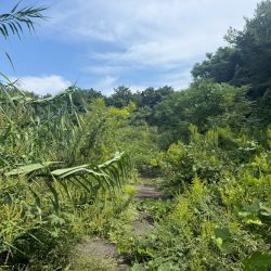 宗像市江口　売地　29坪 画像9