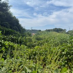 宗像市江口　売地　29坪 画像8