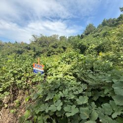 宗像市江口　売地　29坪 画像7