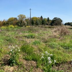 小郡市下岩田　売地　132坪 画像9