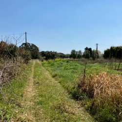 小郡市下岩田　売地　88坪 画像8