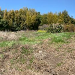 小郡市下岩田　売地　88坪 画像6