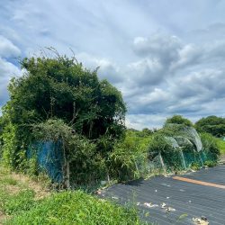 小郡市松崎 売地 49坪