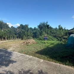 福岡市早良区早良五丁目 売地 41坪