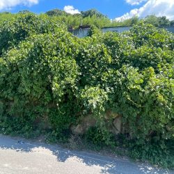 福岡市博多区月隈三丁目 売地 16坪