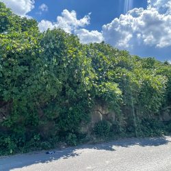 福岡市博多区月隈三丁目　売地　16坪 画像5
