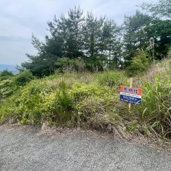 朝倉市堤　売地　29坪 画像5