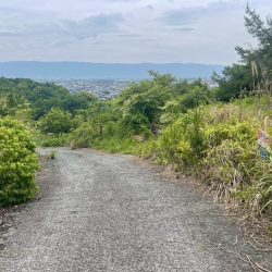 朝倉市堤　売地　29坪 画像7