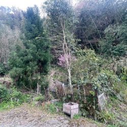 福津市八並　売地　46坪 画像6