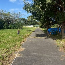 糸島市志摩小金丸　売地　38坪 画像8