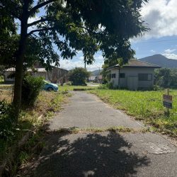 糸島市志摩小金丸　売地　38坪 画像7