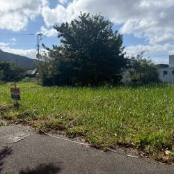 糸島市志摩小金丸　売地　38坪 画像6