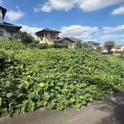 那珂川市下梶原二丁目　売地　50坪 画像6