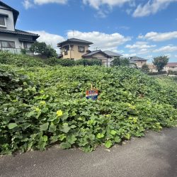 那珂川市下梶原二丁目 売地 50坪