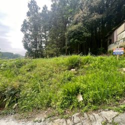 那珂川市大字西畑 売地 53坪