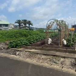 鳥栖市原古賀町　売地　41坪 画像5