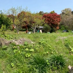 鳥栖市山浦町　売地　44坪 画像8